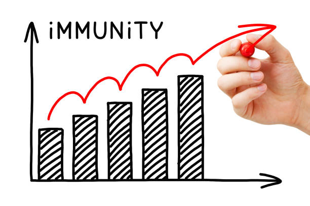 main Benefits of Millets is significantly boost immunity