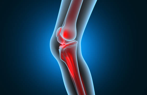 Benefits of Millets can be improve skeletal health